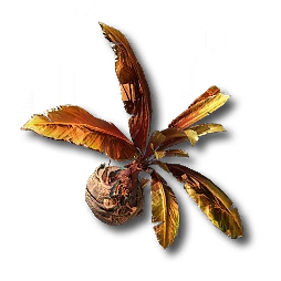Blighted Jadeleaf, promotion material | Arknights: Endfield