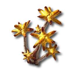 Chrysodendra, promotion material | Arknights: Endfield