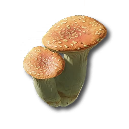 Pink Bolete, promotion material | Arknights: Endfield