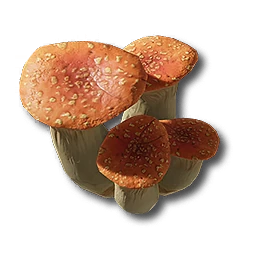 Red Bolete, promotion material | Arknights: Endfield