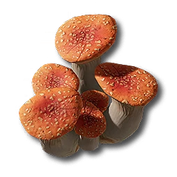 Ruby Bolete, promotion material | Arknights: Endfield